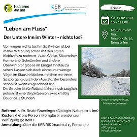 Banner Leben am Fluss: Der Untere Inn im Winter