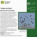 Logo Leben am Fluss: der Untere Inn im Herbst